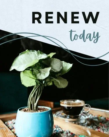 CAIG5242-Houseplant+Renewal.webp