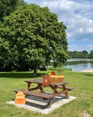 CAIG6601-Outdoor+Picnic.webp