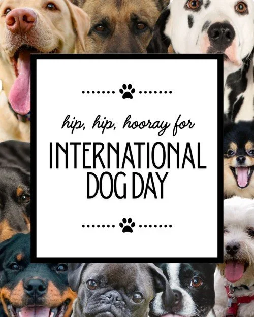 CAIG8083-August+Int'l+Dog+Day+1.webp
