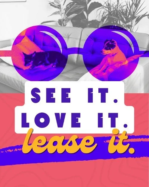 CAIG7959-See+It+Lease+It+Special.webp
