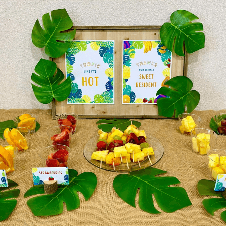 FRUIT BAR &amp; HEALTHY SNACKS
