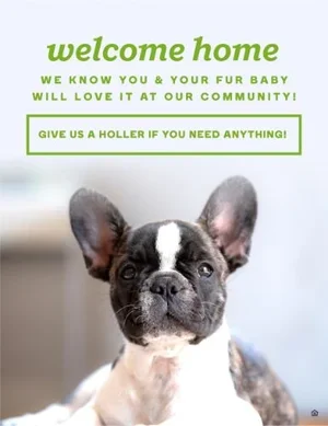 61244-Pet+Small+Welcome.webp