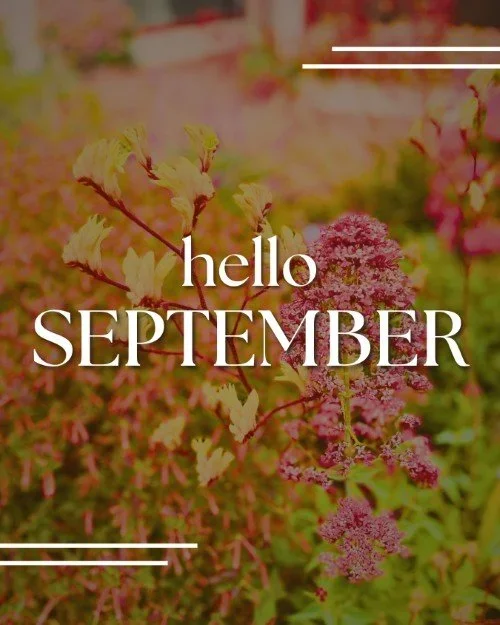 CAIG5365-Hello+September+Natural.webp