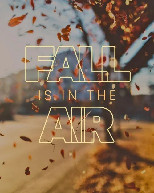 CAIG5653-Fall+is+in+the+Air.webp