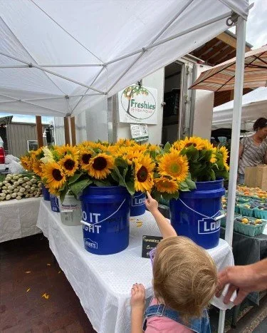 Stock+Photo+Fresh+Sunflowers+Market.webp