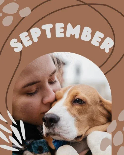 CAIG2520-Pets+September.webp