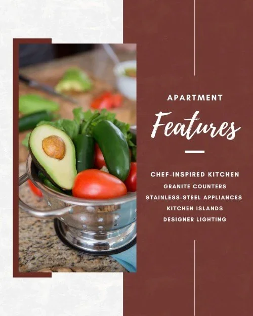 CAIG1026-Features+Spotlight+Kitchen.webp