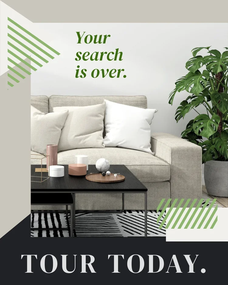 CAIG8119-Search+is+Over+Outreach.webp