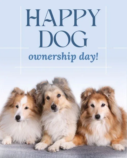 CAIG8151-September+Dog+Ownership+Day.webp