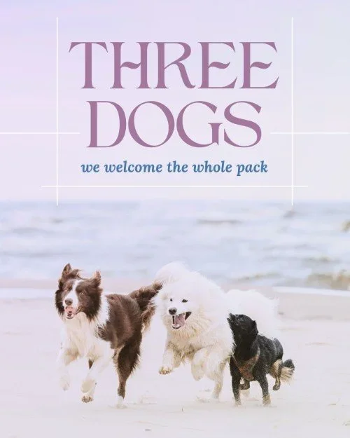 CAIG8101-Three+Dogs+Welcome+2.webp