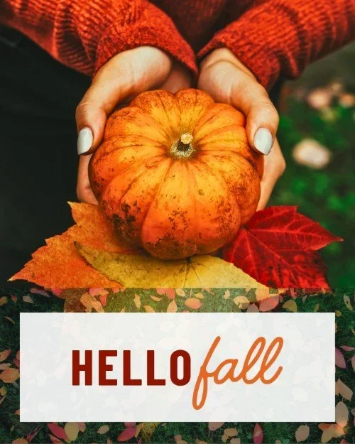 CAIG5654-Hello+Fall.webp