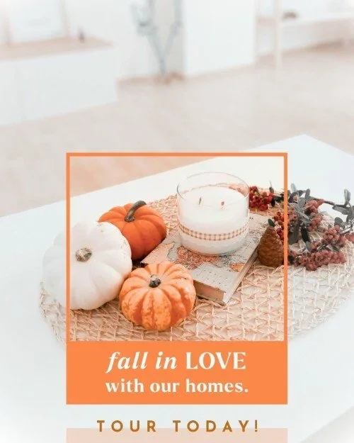 CAIG6119-Pumpkin+Fall+in+Love+Homes.webp