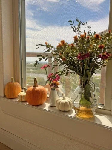 Stock+Photo+Pumpkins+Vase+(2).webp