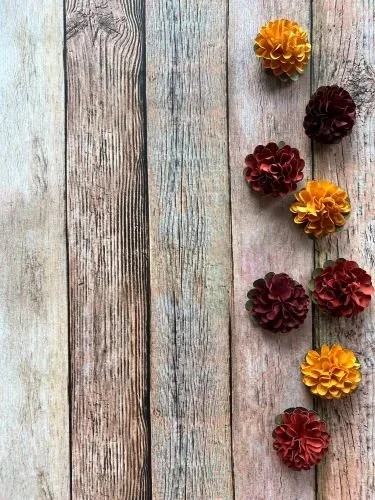 Stock+Photo+Red+Orange+Fall+Flowers+(1).webp