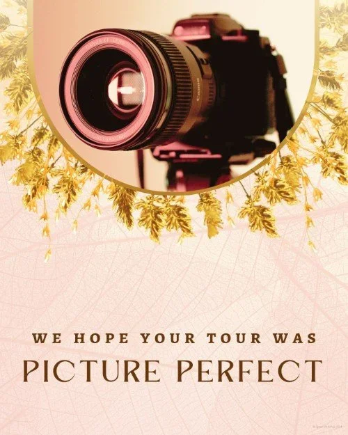 CAIG3996-Golden+Harvest+Follow-Up.webp