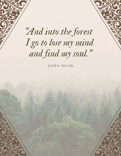 CA2008 Into The Woods Quote.jpg