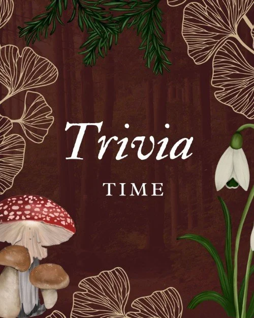 CAIG1488 Into The Woods Trivia Time.jpg