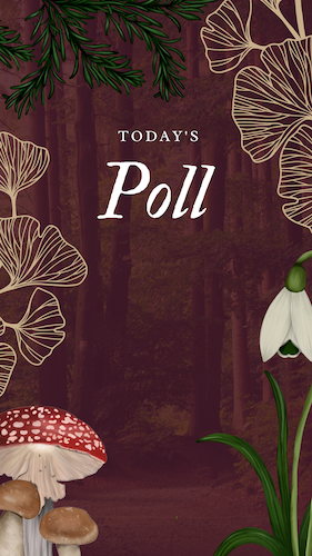 CAIGS1166-Into The Woods Poll.png