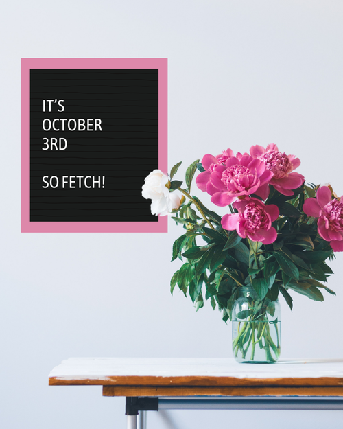 IG5989-Mean+Girls+October+3+Digital+Graphic.webp