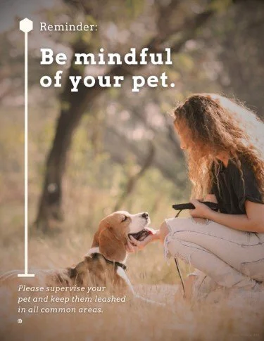 CA3892-Pet Reminder.jpg