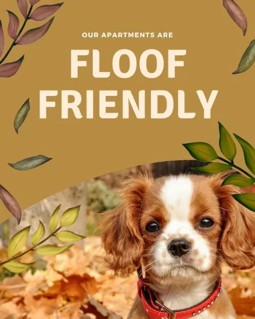 CAIG3599-Fall+Pet+Friendly+Outreach.webp