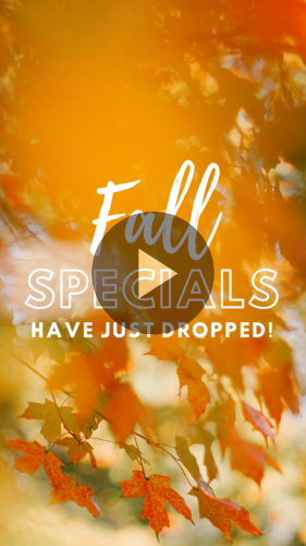 CAIGVD1095-Simple+Fall+Specials.webp