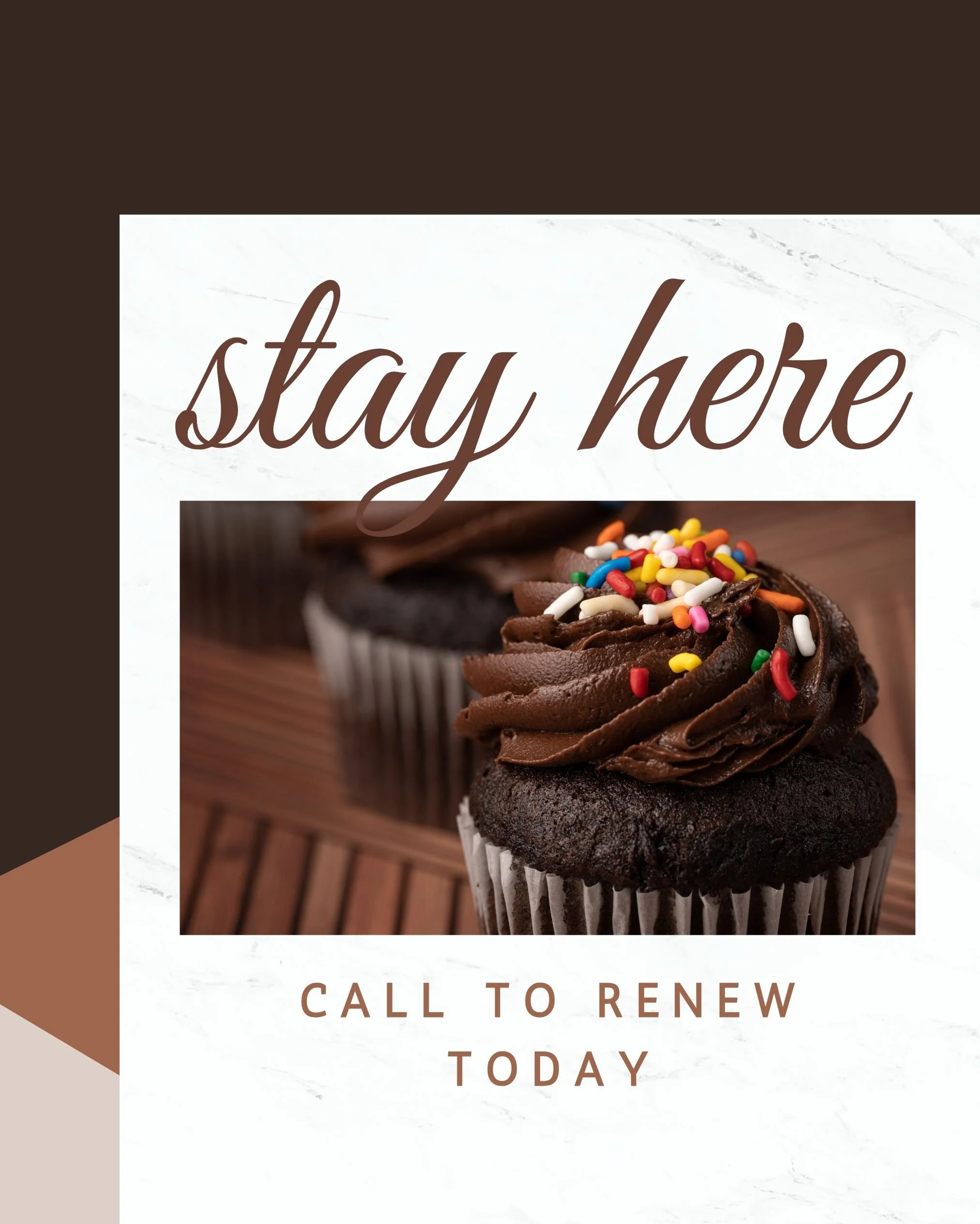 CAIG2582-Chocolate Cupcake Renewal.jpg