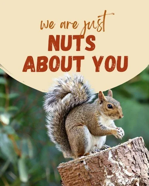 CAIG2659-Brightwall+Nuts+About+You.webp