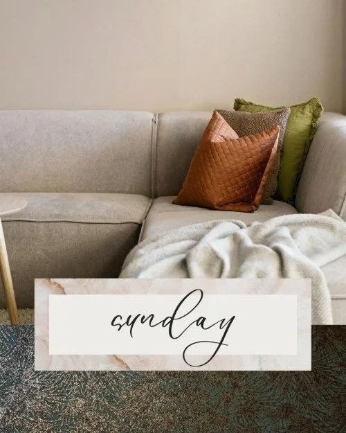 SUNDAY RESET + PET REMINDER