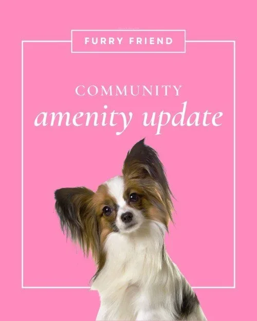 CAIG7923-Simply+Pet+Amenity+Update.webp