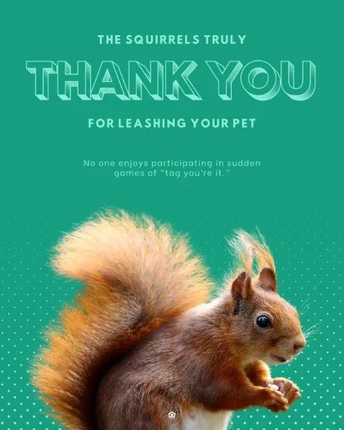 CAIG5165-Humorous+Leash+Reminder+2.webp