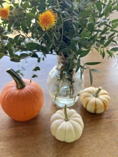 PUMPKIN DAY + RESIDENT PERKS