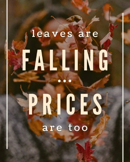 CAIG6110-Fall+Leaves+Special.webp