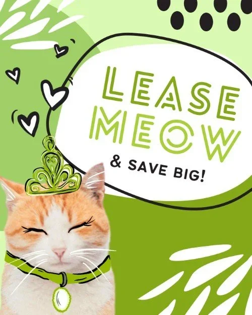 CAIG7958-Lease+Meow+&+Save+Special.webp