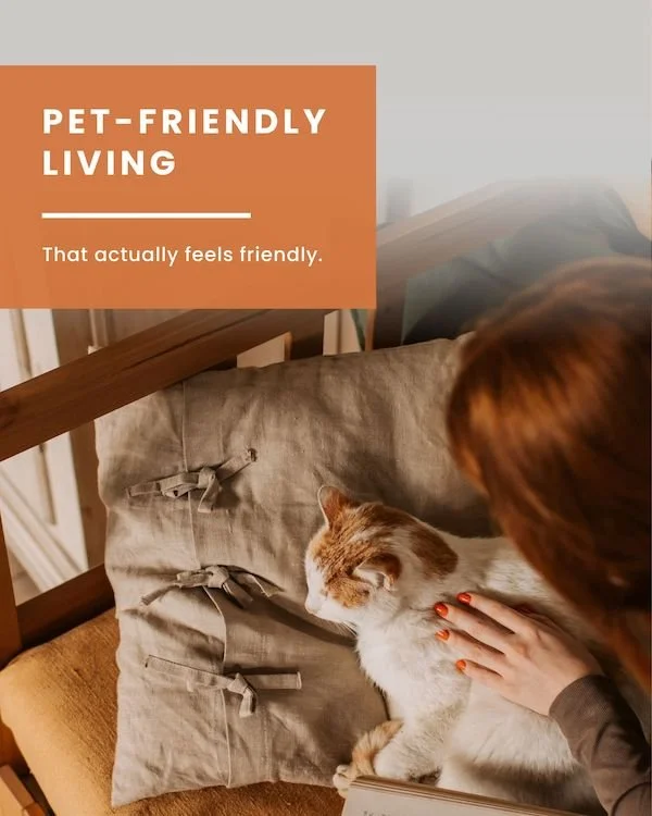 CAIG7128-Pet Friendly Living Cat.jpg