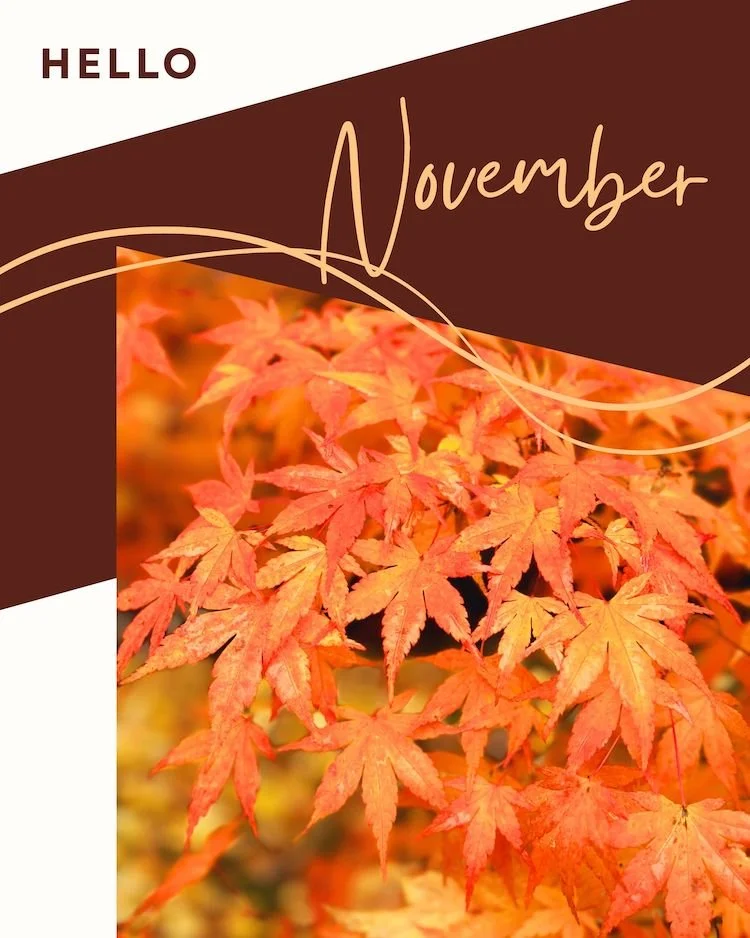 CAIG5343-Hello November Botanical.jpg