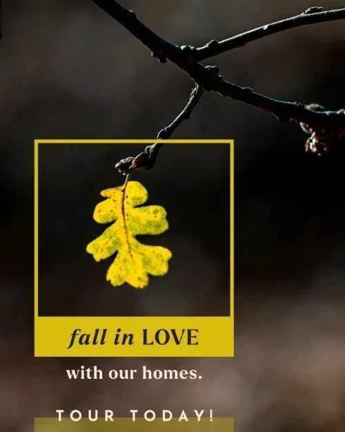 CAIG6118-Fall+Leaf+Tour+Today.webp
