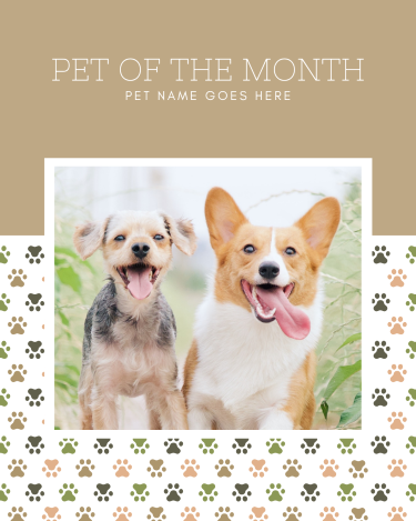 CAIG3009-Neutral+Paw+Prints+Pet+of+the+Month.webp