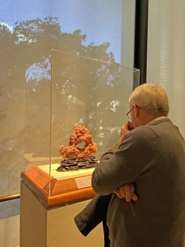 Stock+Photo+Museum+Man.webp