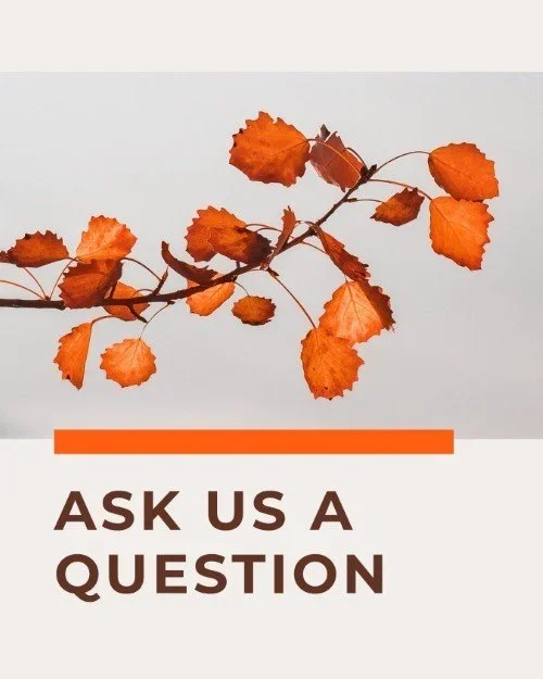 CAIG6164-Fall+Leaves+Ask+A+Question.webp