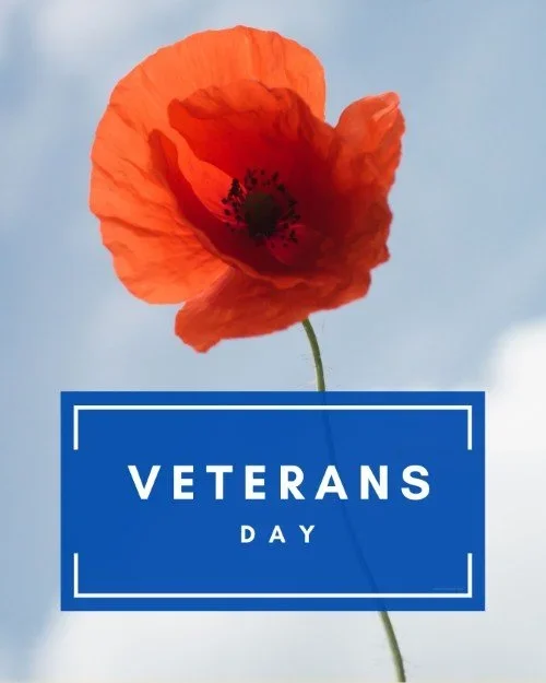 CAIG8293-November+Veterans+Day.webp