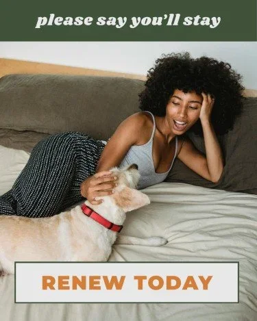 CAIG5236-Say+You'll+Stay+Renewal.webp