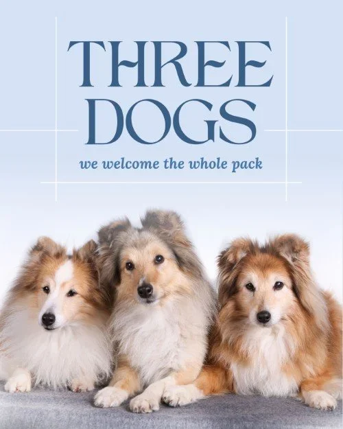 CAIG8100-Three+Dogs+Welcome+1.webp