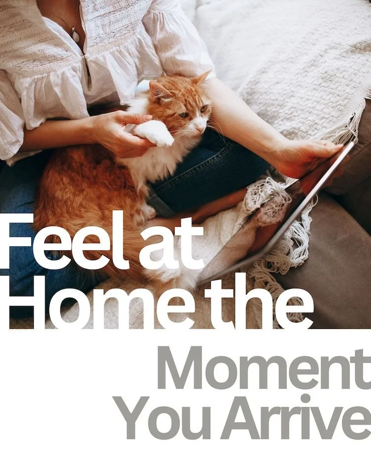 CAIG7859-Feel at Home Marketing Pet.jpg