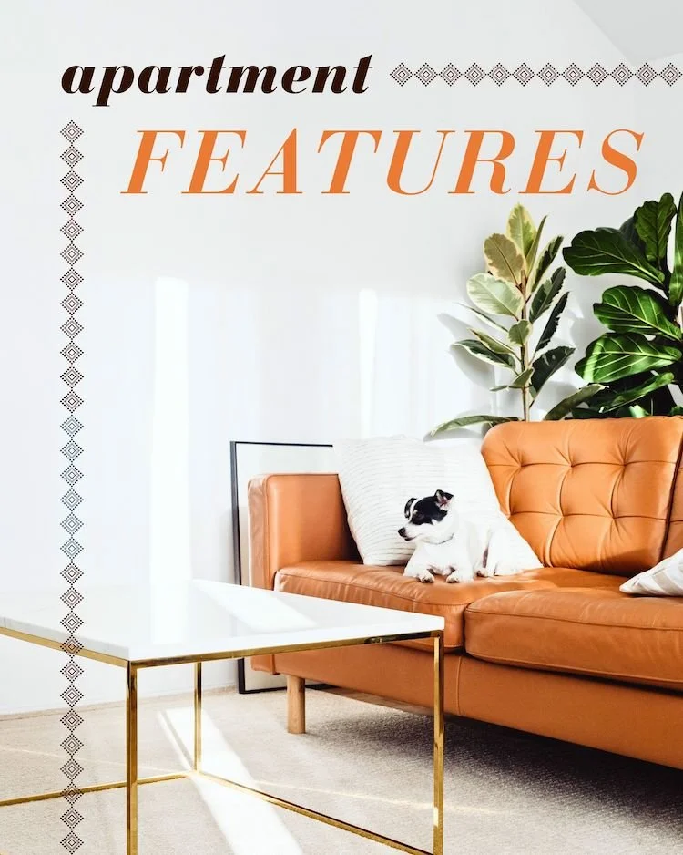 CAIG7480-Apartment Features Outreach Dog.jpg