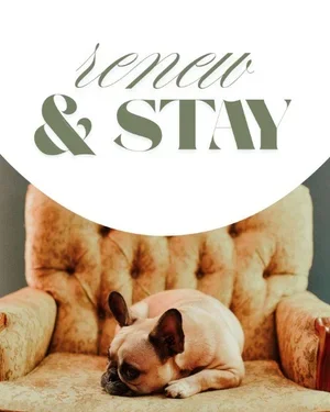 CAIG6655-Renew+&+Stay.webp