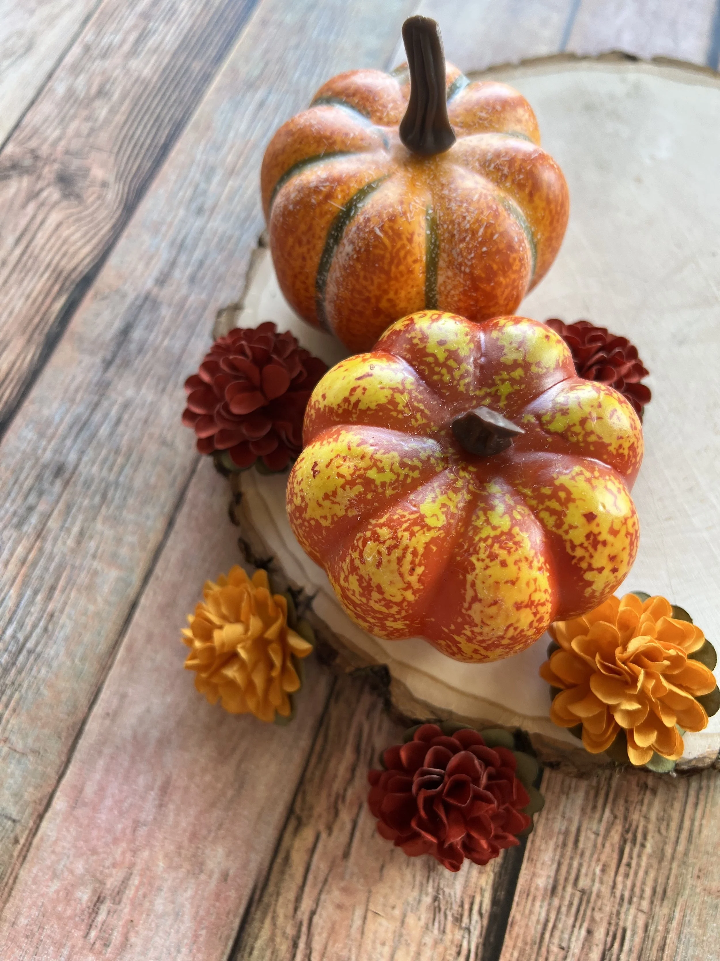 Stock_Photo_Small_Pumpkin_Wood_(3).jpeg