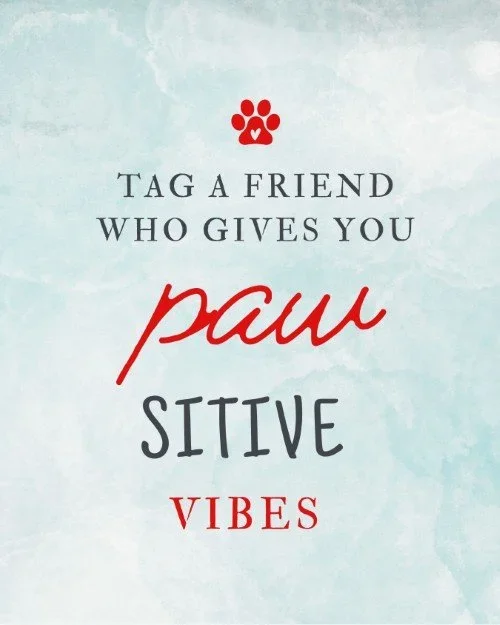 CAIG2077+-+Winter+Pet+Tag+a+Friend.webp