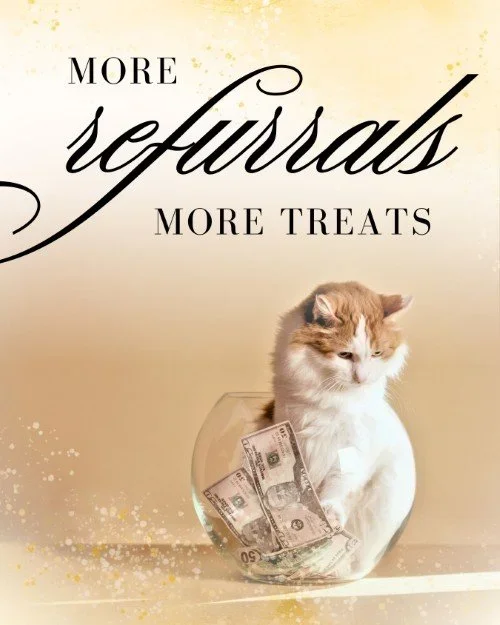 CAIG7363-More+Refurrals.webp
