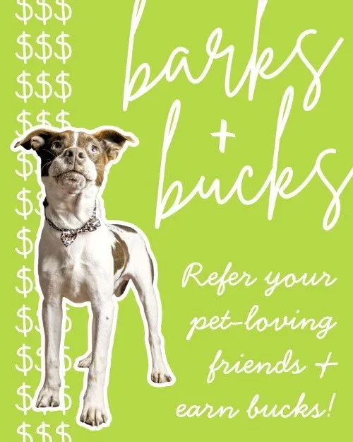 CAIG7366-Barks+&+Bucks+Referral.webp